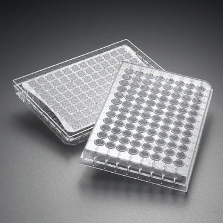Микропластина для исследований - Multiscreen® - Merck - клеточной культуры / фильтрации / фильтр