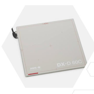 Плоскопанельный детектор для ветеринарной радиографии - DX-D 60 - AGFA - переносной / 17x17