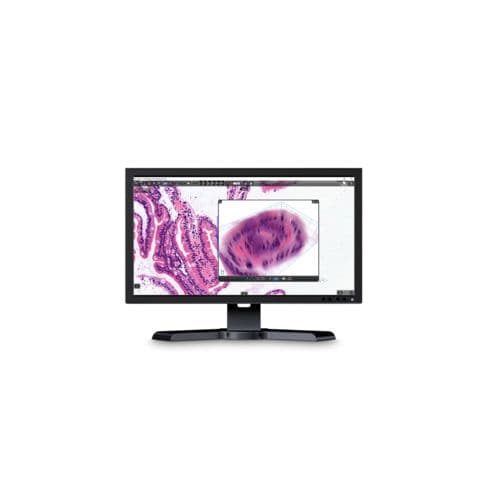 Медицинское программное обеспечение - CaseViewer - Sysmex Europe - для анализа / визуализатор / для планшетного ПК