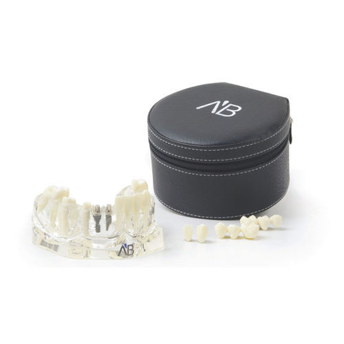 Анатомическая модель челюсти - TLJ  - A.B. Dental Devices - для имплантологии / из пластика / прозрачная