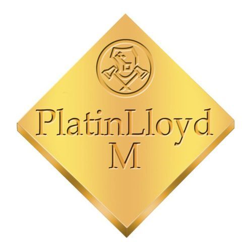 Стоматологический материал из металла - PlatinLloyd® M - BEGO - из сплава / для зубных мостов / для зубных коронок