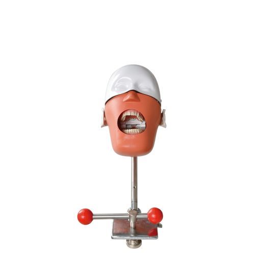 Учебный медицинский симулятор - Foshan Roson Medical Instrument - для стоматологии / для оказания общей помощи / для болезней зубов