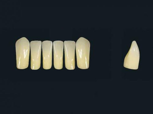 Стоматологический протез из акрилового полимера - TRIBOS 501 LV1-LJ-C2 - GEBDI Dentalproducts GmbH   - для передних зубов
