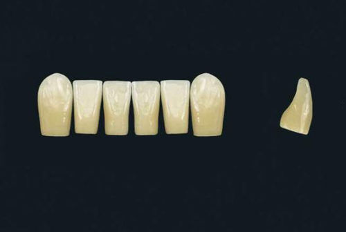 Стоматологический протез из акрилового полимера - TRIBOS 501 LV8-UK-LJ-C2 - GEBDI Dentalproducts GmbH   - для передних зубов