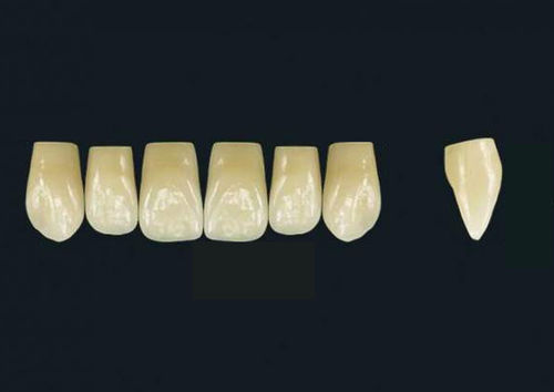 Стоматологический протез из акрилового полимера - TRIBOS 501 VT76-UJ-C2 - GEBDI Dentalproducts GmbH   - для передних зубов