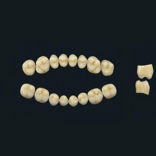 Стоматологический протез из акрилового полимера - TRIBOS 501 PM-LJ-A2 - GEBDI Dentalproducts GmbH   - для задних зубов