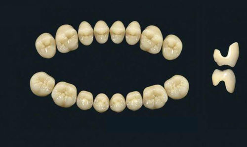 Стоматологический протез из акрилового полимера - TRIBOS 501 SLA-UJ-B1 - GEBDI Dentalproducts GmbH   - для задних зубов