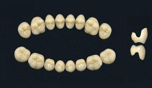 Стоматологический протез из акрилового полимера - TRIBOS 501 C  SLA-OK-B1 - GEBDI Dentalproducts GmbH   - для задних зубов