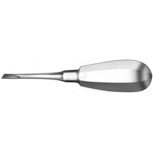 Прямой стоматологический люксатор - 541/1 - Carl Martin GmbH   - Kopp