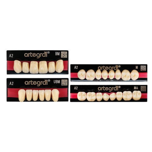Стоматологический протез из PMMA - artegral®  - Merz Dental GmbH   - для передних зубов / для задних зубов / сборный