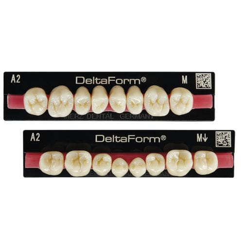 Стоматологический протез из PMMA - Delta Form® - Merz Dental GmbH   - для передних зубов / для задних зубов