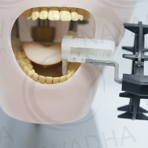 Тест-фантом для стоматологической радиографии - NA252 - Navadha Enterprises   - челюсти