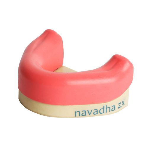 Анатомическая модель нижней челюсти - NA24B  - Navadha Enterprises   - десен / для имплантологии / для образовательных целей