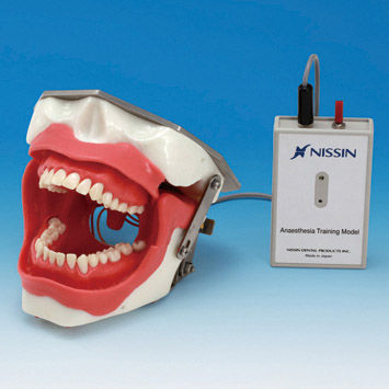 Симулятор пациента для стоматологической анестезии - SUG2005-UL-SP - Nissin Dental Products Inc.   - для инъекций / для ухода за зубами / головы