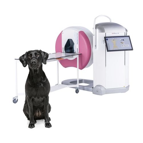 Ветеринарный сканер CBCT для домашних животных - Planmed Verity® VET - Planmeca