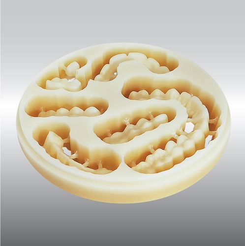 Стоматологический материал из PMMA - DISC multilayer - POLIDENT d.o.o.   - CFAO / для зубных коронок / временный