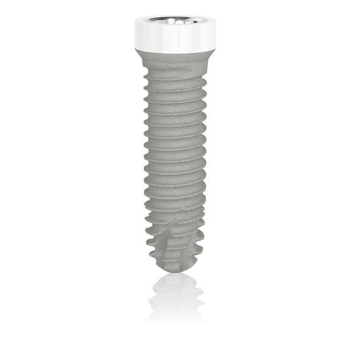 Цилиндрический конический зубной имплантат - Z1® Infinity - TBR Implants Group - циркониевый / восьмигранный внутренний / винтовой