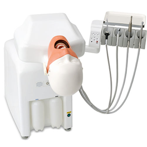 Медицинский симулятор для ухода за зубами - Sytplus - Suzhou Victor Medical Equipment