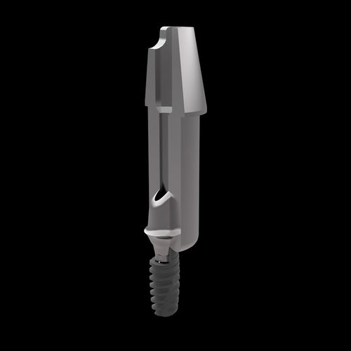 Абатмент из титана - Raw-Abutment® - Zirkonzahn - внешний / прямой / для фрезерования
