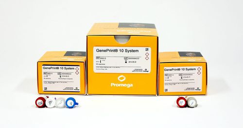Набор для теста для медицинских исследований - GenePrint® 10  - Promega France - для идентификационного анализа / гены / для клеток