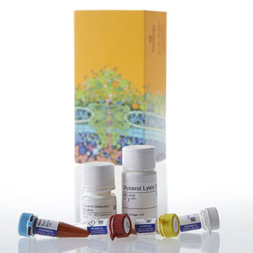 Набор реактивов сыворотки - Triglyceride-Glo™ - Promega France - ткани / фосфата / на липазу