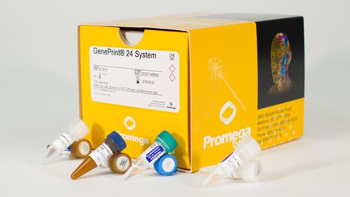 Набор реактивов в растворе - GenePrint® 24  - Promega France - краситель / ткани / для нуклеиновых кислот