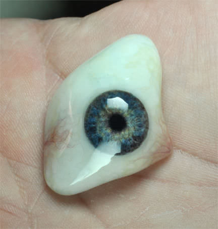 Эстетический протез для глаз - RealLifeEye™ - RealLifeSkin - для взрослых