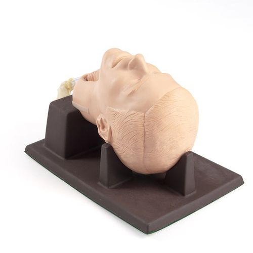 Учебный медицинский симулятор - 261-01001 - Laerdal Medical - для крикотироидотомии / хирургический / мужской