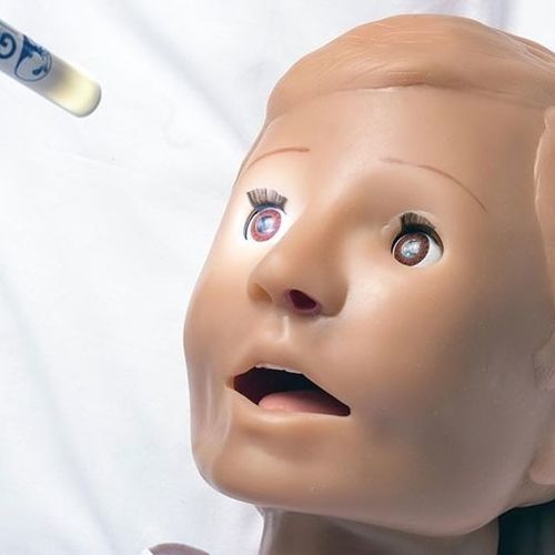 Симулятор пациента ребенок - Pediatric HAL® S3005  - Gaumard - для прослушивания / для инъекций / для управления воздушными путями