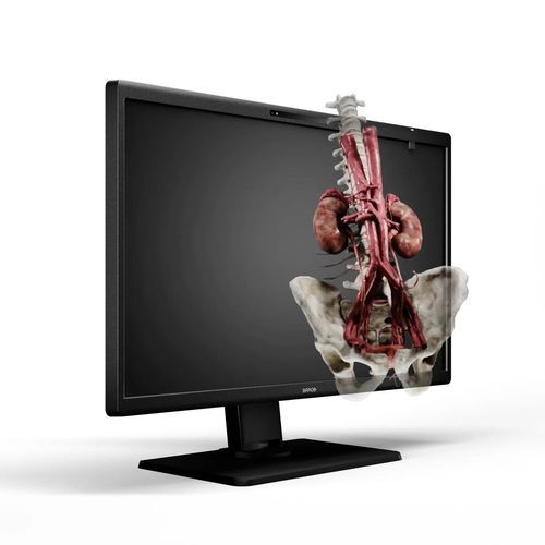 Медицинский монитор - Eonis 3D - Barco - хирургический / 8" / светодиод