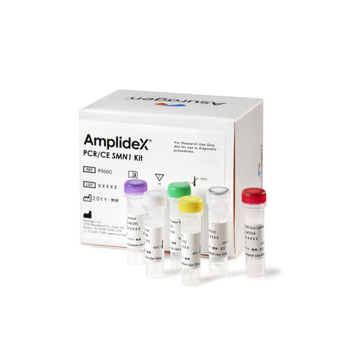 Набор для теста ген SMN1 - AmplideX PCR/CE SMN1 Plus  - Asuragen - для исследований / для генетических мутаций / ген SMN2