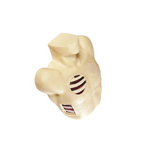 Медицинский симулятор с дренированием грудной клетки - GD/L67  - Shanghai Honglian Medical Instrument - пневмоторакса / торса