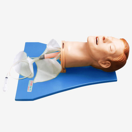 Учебный манекен для управления воздушными путями - GD/J55 - Shanghai Honglian Medical Instrument - головы