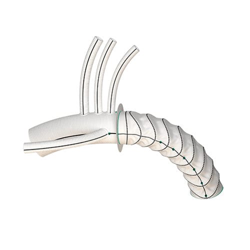 Стент-трансплантат для дуги аорты - Thoraflex™ - Terumo Aortic
