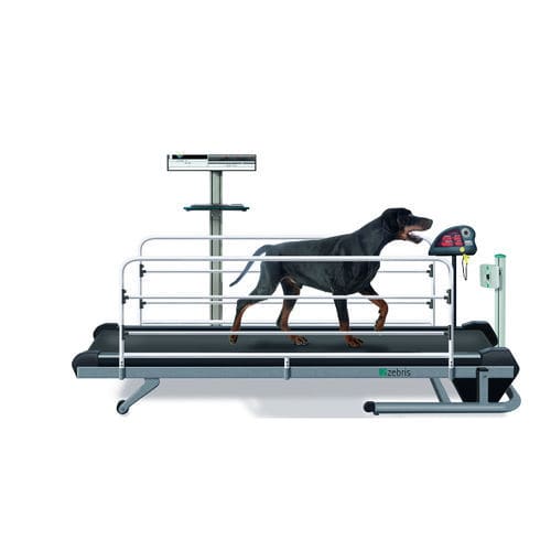Ветеринарная беговая дорожка для собак - CanidGait Fit Fur Life  - Fit Fur Life Ltd - с регулируемой скоростью / с регулируемыми боковыми ограждениями