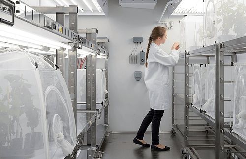 Климатическая испытательная камера - Fitotron® SGR - Weiss Technik - влажности / для измерения температуры / свет