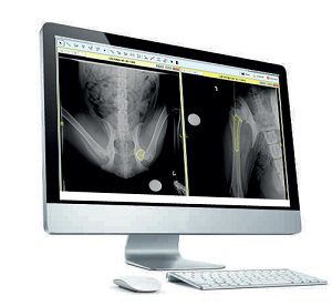 Ветеринарное программное обеспечение - OrthoView VET - Scil Animal Care - для планирования