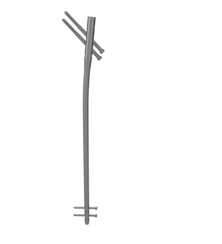 Интрамедуллярный штифт бедренная кость - A438 series - Aysam Orthopaedics - проксимальная фиксация / диафизарная фиксация / из титана