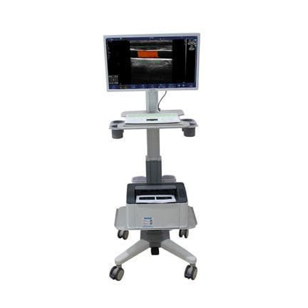Ультразвуковой сканер на платформе - C100T - Sonostar Technologies - для поливалентной эхографии / цветовой допплер / 21 дюйм
