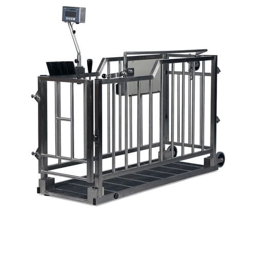 Электронный ветеринарные весы - 1-2-3 - Bosche GmbH & Co.KG - для крупных животных / для телят / платформа