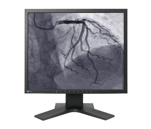 Монитор для диагностики - LS1910 - EIZO GmbH - для ангиографии / для сердечно-сосудистой хирургии / для операционной