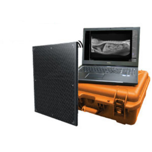 Плоскопанельный детектор для ветеринарной радиографии - DR Wizard EZ - Diagnostic Imaging Systems - переносной / с беспроводной сетью / 14x17