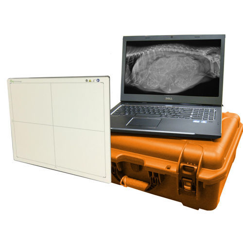 Плоскопанельный детектор для ветеринарной радиографии - DR Wizard - Diagnostic Imaging Systems - переносной / с беспроводной сетью / 14x17