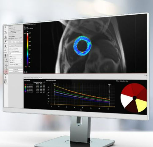 Программное обеспечение для анализа - Pie Medical Imaging - для визуализации / медицинское / клиническое