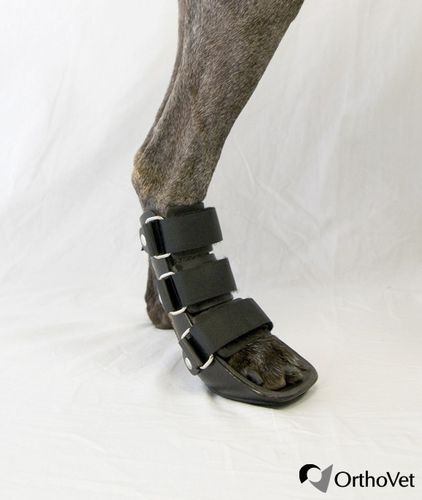 Ветеринарная шина для лап - Bootie - OrthoVet - для собак