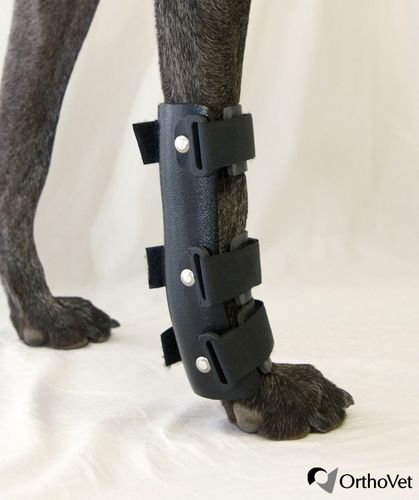 Ветеринарная шина для запястного канала - OrthoVet - для собак