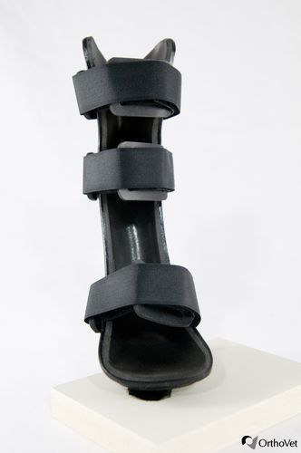 Ветеринарная шина для лап - Rear - OrthoVet - для собак