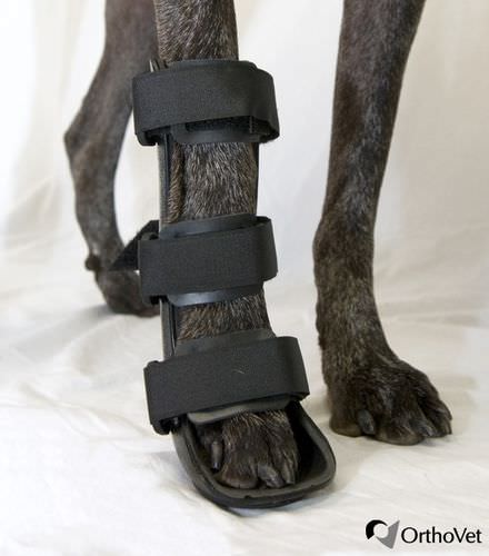 Ветеринарная шина для лап - Front - OrthoVet - для собак