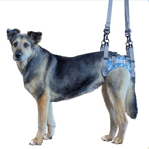 Привязь для передвижения - Walkin’ Warrior Rear - Walkin' Pets - ноги / для собак