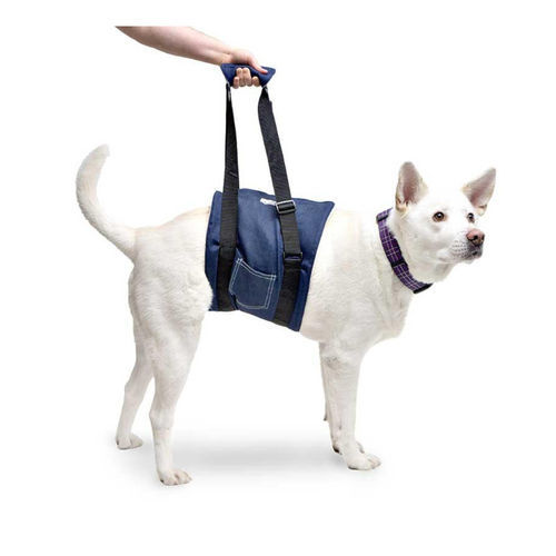 Привязь для передвижения - Walkin’ Support - Walkin' Pets - для реабилитации / ноги / для собак